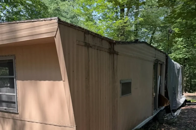 Remove Your Old Backyard Shed
