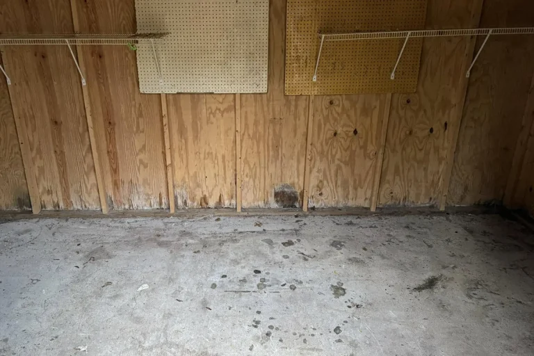 What Happens During Shed Demolition?