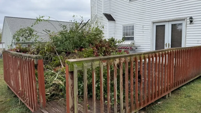 Renting a Dumpster for Your Home Project