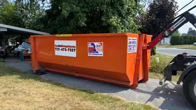 dumpster for home cleanup