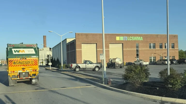 Commercial Dumpster Rentals vs. Junk Removal