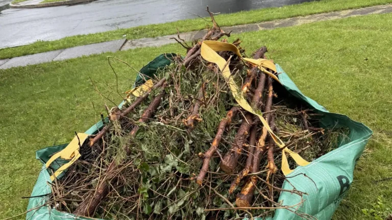 Dumpster Rentals for Landscaping and Yard Projects: The Ultimate Cleanup Solution