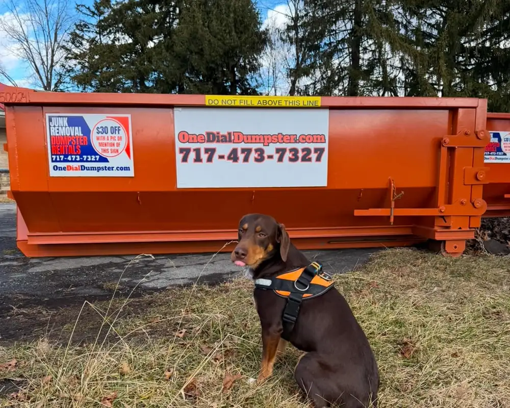 Remodeling & Renovation Dumpster Rentals